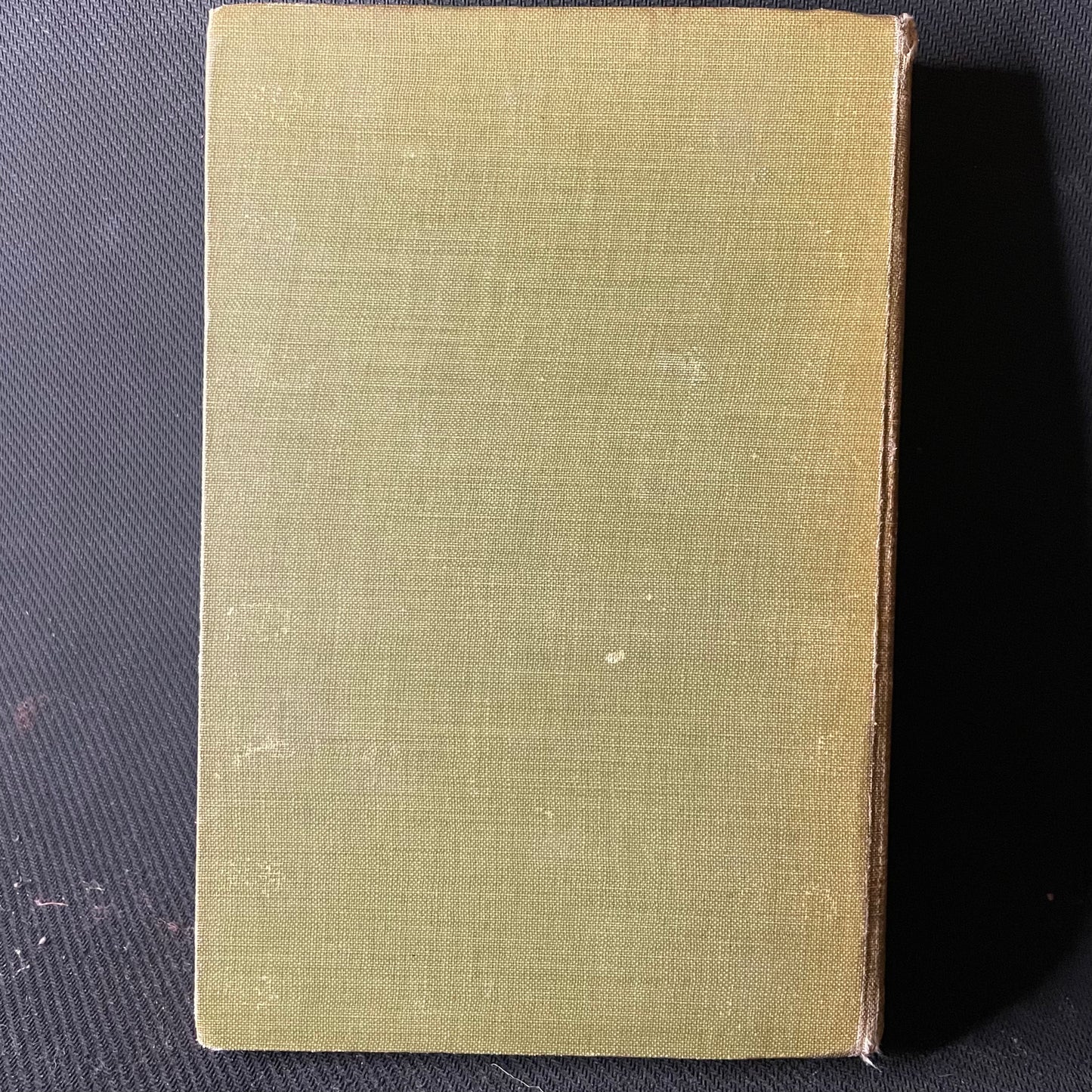 Fraulein Schmidt and Mr Anstruther. Elizabeth Von Arnim