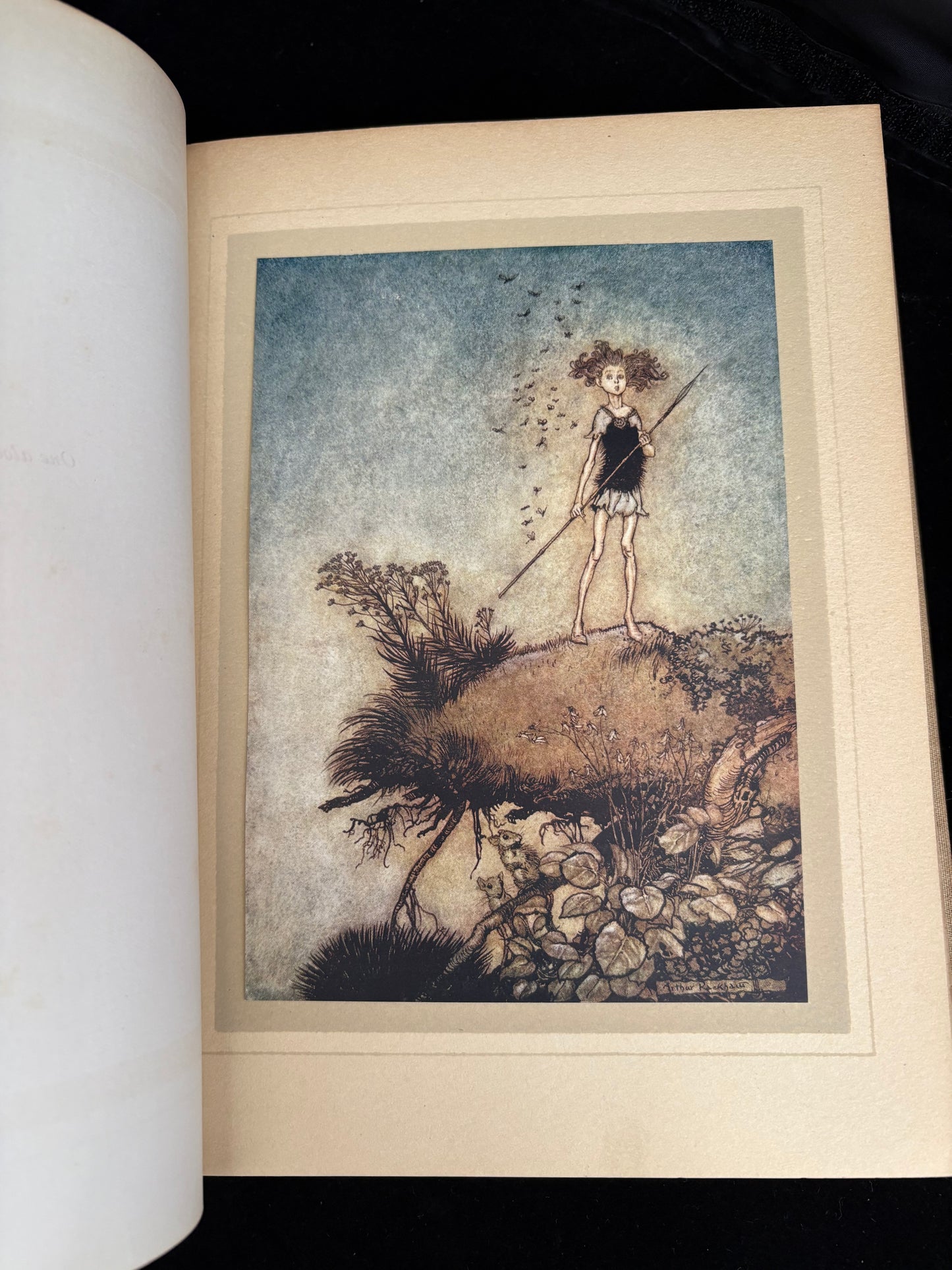 Shakespeare, William.             A Midsummer Night's Dream. Illustrated by Arthur Rackham. First thus.